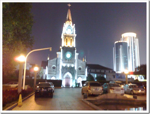 20091029738