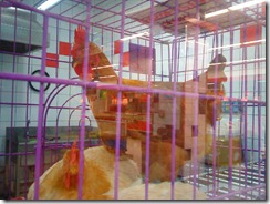 201005111806002