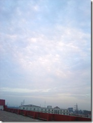 201005121817003