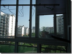 DSCF2316
