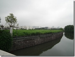 DSCF2465