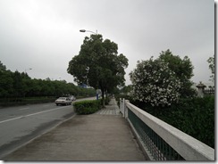DSCF2466