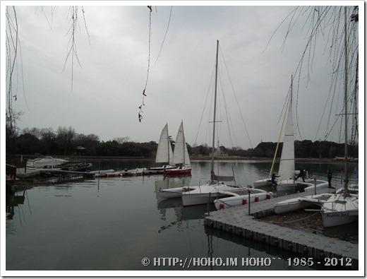 DSCF1734