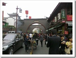 20101113244