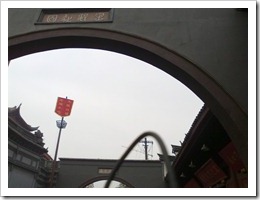 20101113245