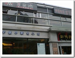 20101113248