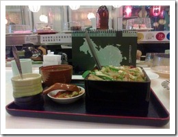 20101113253