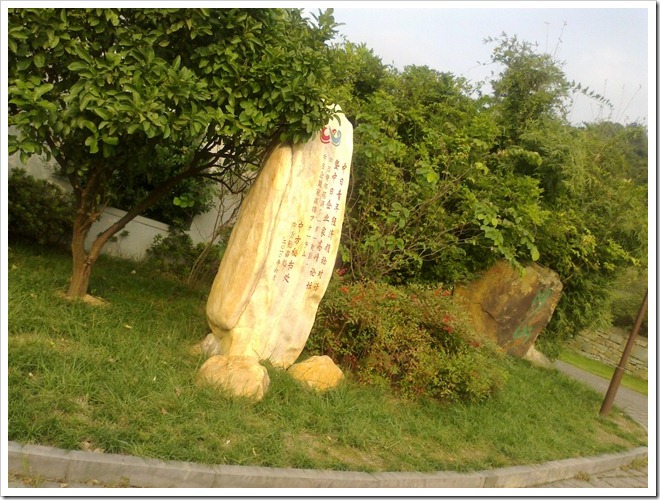 20101106203