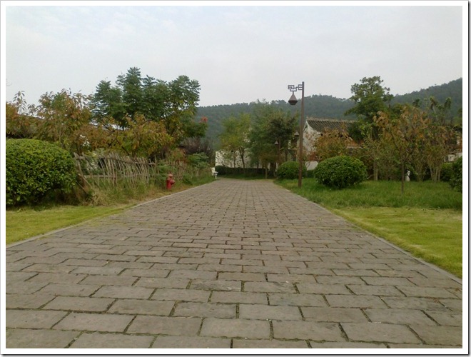 20101106218