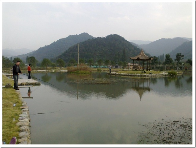 20101106225