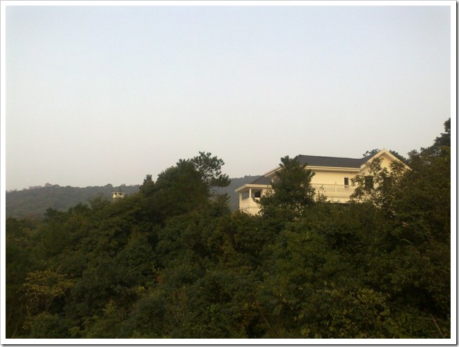 20101106239