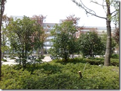 20070925012
