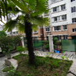 View album