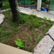 View album
