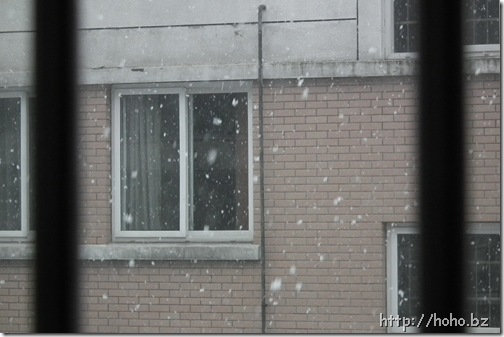 DSCF4115