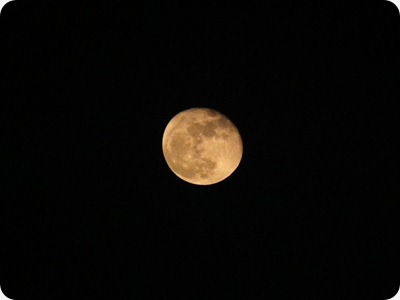 DSCF0037