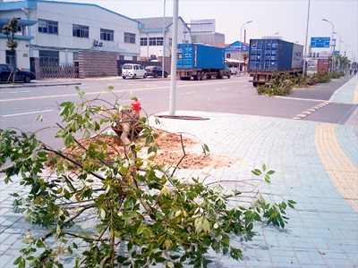 201004281204002