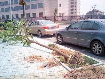 201004281205001