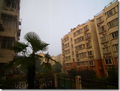 DSCF3513