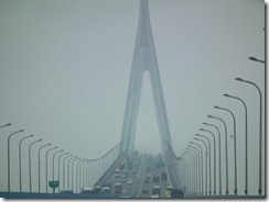 DSCF3535