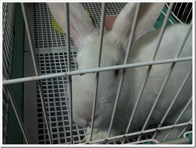 2011-03-30_19-55-21_423