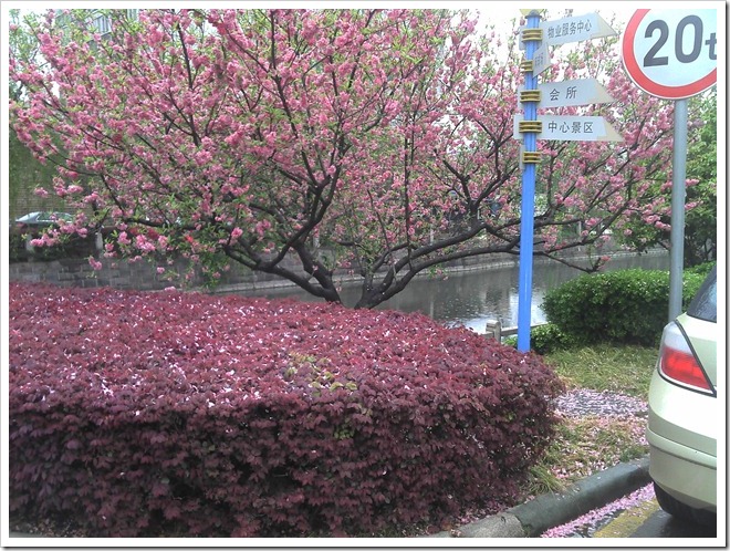 2011-04-16_14-48-03_774