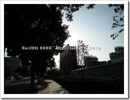 DSCF3900
