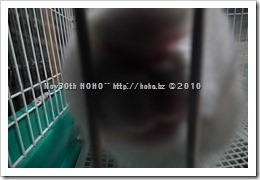 DSCF3922