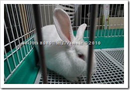 DSCF3924