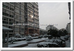DSCF3929