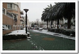 DSCF3933