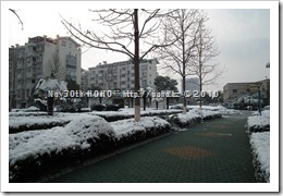 DSCF3937