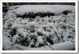 DSCF3940