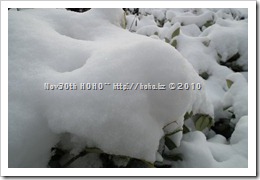 DSCF3941