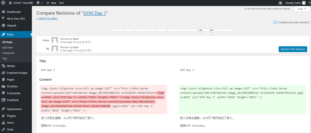 Wordpress Version Control